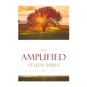 Amplified Study Bible (Hardcover)