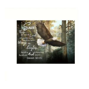 Eagle Canvas - Isaiah 40:31