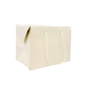 Medium Box Bag with Handles - White Gloss