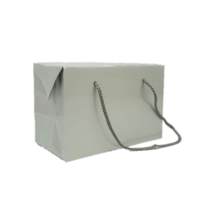 Small Box Bag with Handles - Silver Gloss