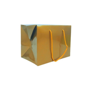 Small Box Bag with Handles - Gold Gloss