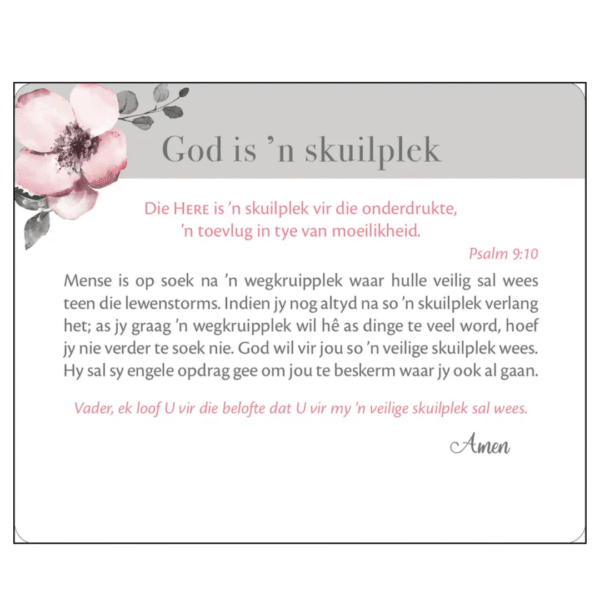 Vreugde In Sy Teenwoordigheid | Afrikaans Scripture Cards in Tin Set - Image 3