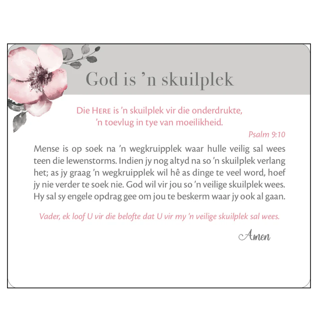 Vreugde In Sy Teenwoordigheid | Afrikaans Scripture Cards in Tin Set - Image 3