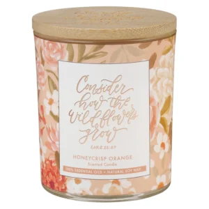 Honeycrisp Orange Scented Candle - Luke 12:27