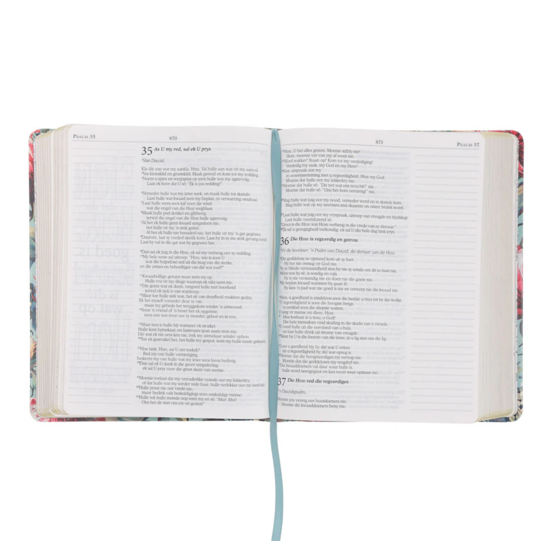 NLV Proteas My Kreatiewe Joernaal-Bybel | Afrikaans Creative Journal Bible - Image 6