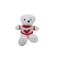White Teddy Bear