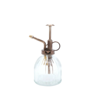 Glass Watering Spray Bottle – Plant Mister for Home & Garden Care