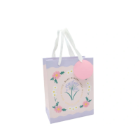 Best Wishes Gift Bag