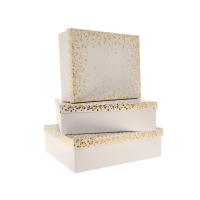 White & Gold Gift Box