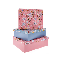 3624 Botanical Botanical Gift Box