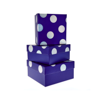 3626 Blue gift Box pack Blue & Silver Polka Dot Gift Box