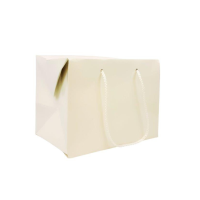 4719 Medium Box Bag with Handles – White Gloss Medium Box Bag with Handles - White Gloss