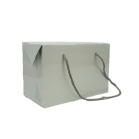 4720 Small Box Bag with Handles – Silver Gloss Small Box Bag with Handles - Silver Gloss