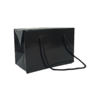 4722 Black Box Bag Small Box Bag - Black Gloss
