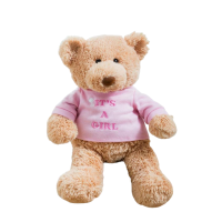 4756 girl teddy 1 Teddy Bear - It's a Girl