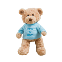 Teddy Bear - It's a Boy