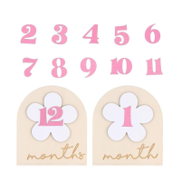 4760 Milestone Girl Baby Milestone Cards - Floral Firsts